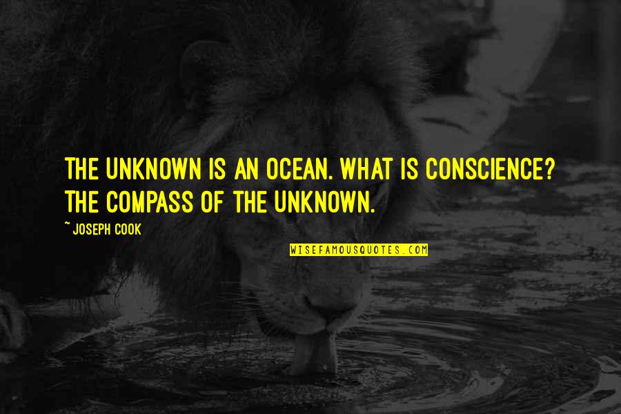 Medium Tattoo Quotes By Joseph Cook: The Unknown is an ocean. What is conscience?