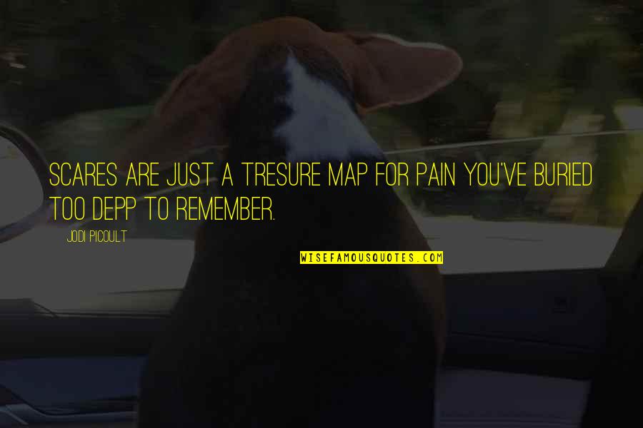 Medwedeff Forge Quotes By Jodi Picoult: Scares are just a tresure map for pain