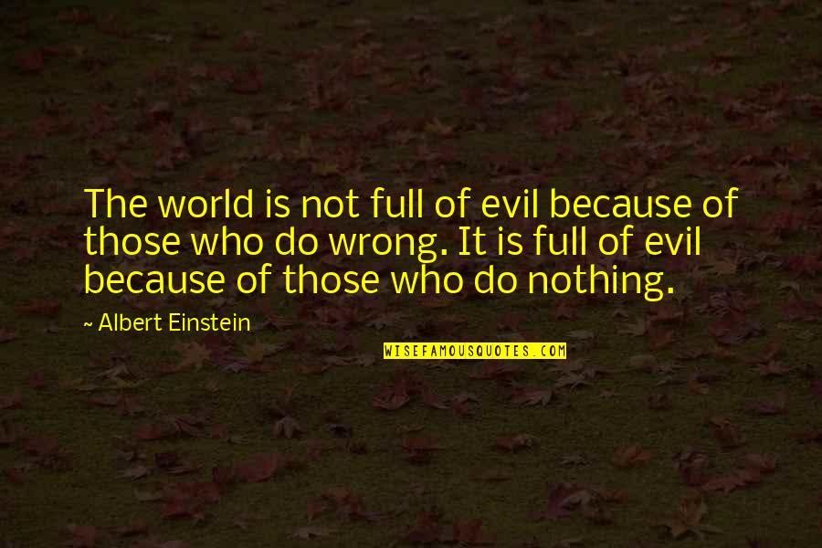 Meegan Panzirer Quotes By Albert Einstein: The world is not full of evil because