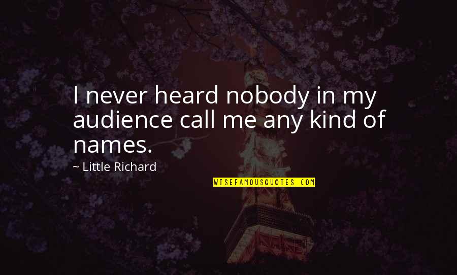 Meehl Physics Quotes By Little Richard: I never heard nobody in my audience call