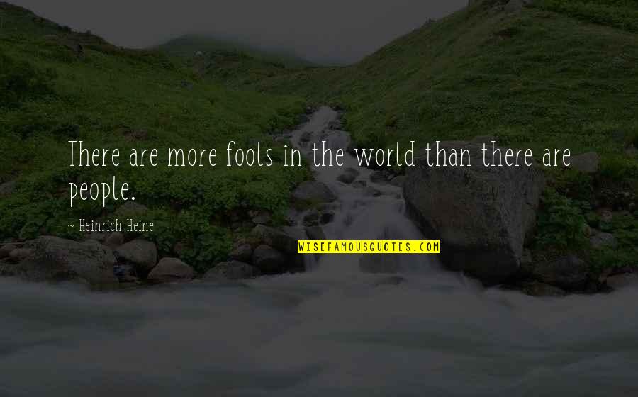 Meek Mill Quotes Quotes By Heinrich Heine: There are more fools in the world than