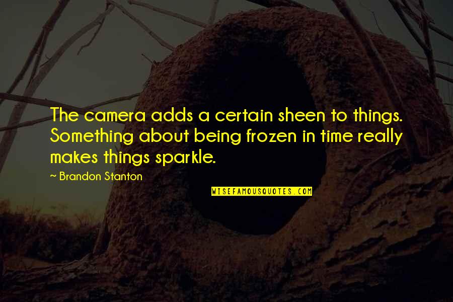 Meenemen Festival Quotes By Brandon Stanton: The camera adds a certain sheen to things.