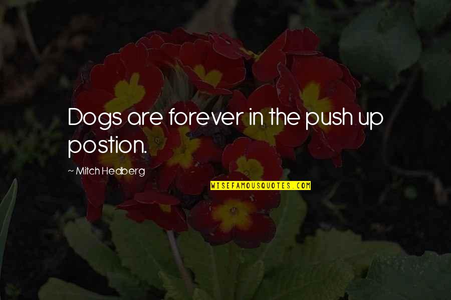 Meeran Haider Quotes By Mitch Hedberg: Dogs are forever in the push up postion. Meeran Haider Quotes By Mitch Hedberg: Dogs are forever in the push up postion.