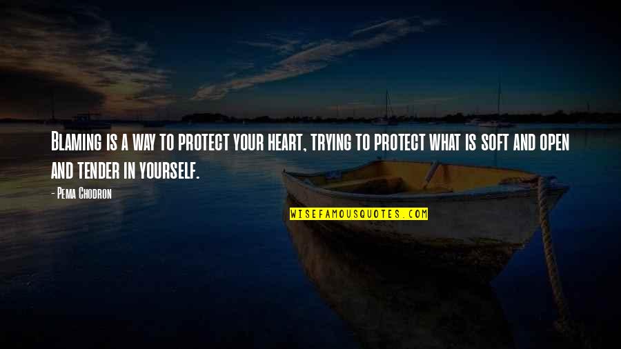 Meerhout Quotes By Pema Chodron: Blaming is a way to protect your heart, Meerhout Quotes By Pema Chodron: Blaming is a way to protect your heart,