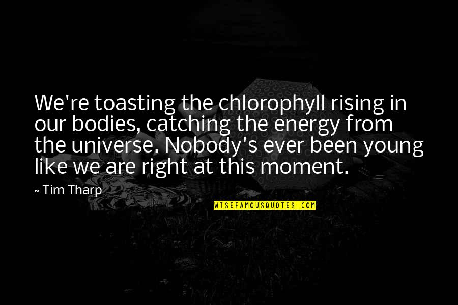 Meesengers Quotes By Tim Tharp: We're toasting the chlorophyll rising in our bodies,