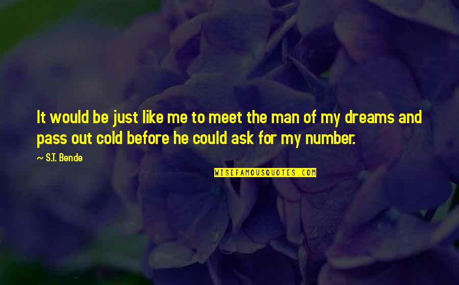 Meet Me In Your Dreams Quotes By S.T. Bende: It would be just like me to meet