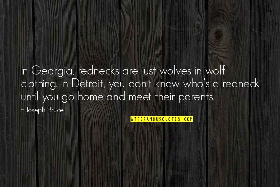 Meet The Parents Quotes By Joseph Bruce: In Georgia, rednecks are just wolves in wolf