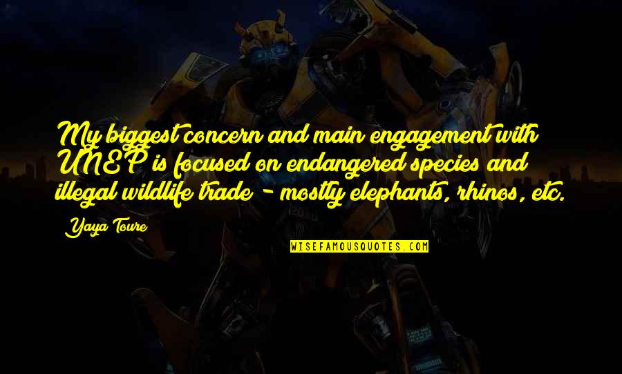 Meet The Robinsons Wilbur Quotes By Yaya Toure: My biggest concern and main engagement with UNEP Meet The Robinsons Wilbur Quotes By Yaya Toure: My biggest concern and main engagement with UNEP