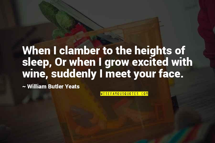 Meet When Quotes By William Butler Yeats: When I clamber to the heights of sleep,