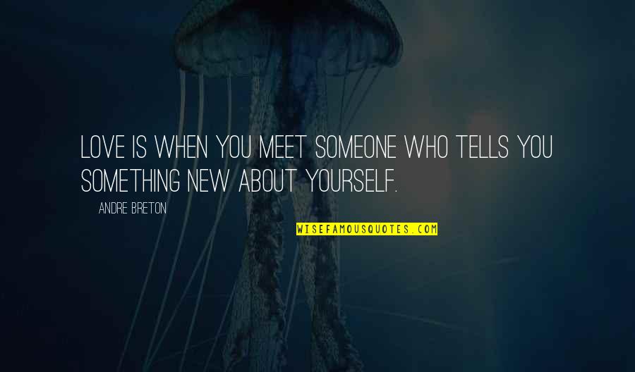 Meet You Love Quotes By Andre Breton: Love is when you meet someone who tells