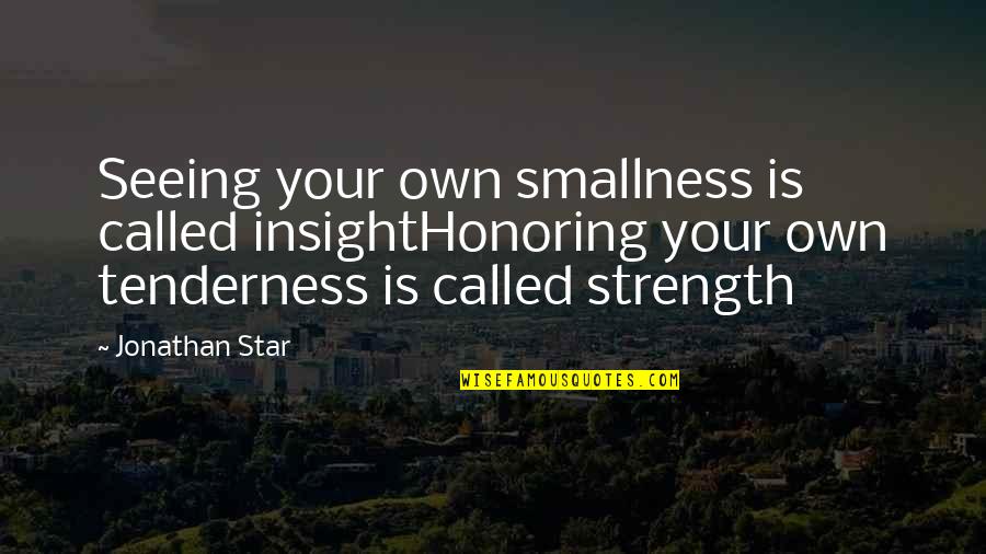 Meetcha Quotes By Jonathan Star: Seeing your own smallness is called insightHonoring your