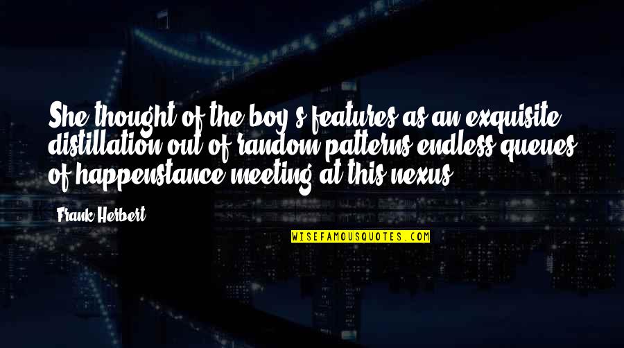 Meeting A Boy Quotes By Frank Herbert: She thought of the boy's features as an