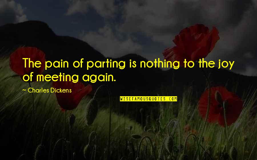 Meeting And Parting Quotes By Charles Dickens: The pain of parting is nothing to the