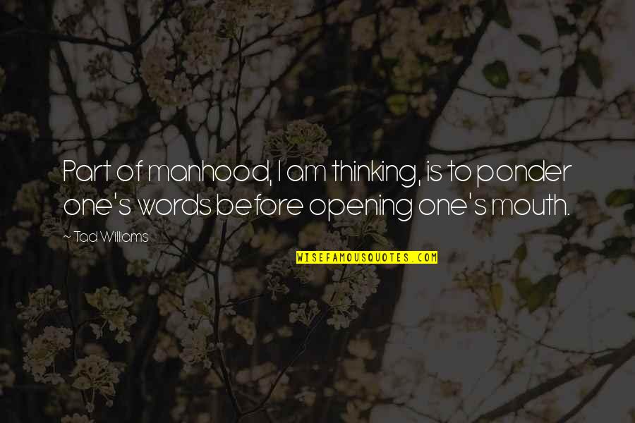 Meeting Friends Traveling Quotes By Tad Williams: Part of manhood, I am thinking, is to