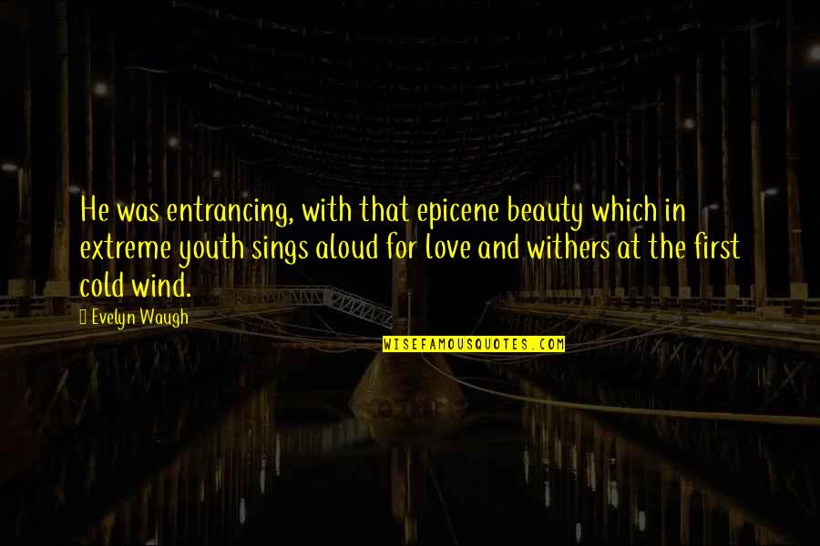 Meeting Love Quotes By Evelyn Waugh: He was entrancing, with that epicene beauty which