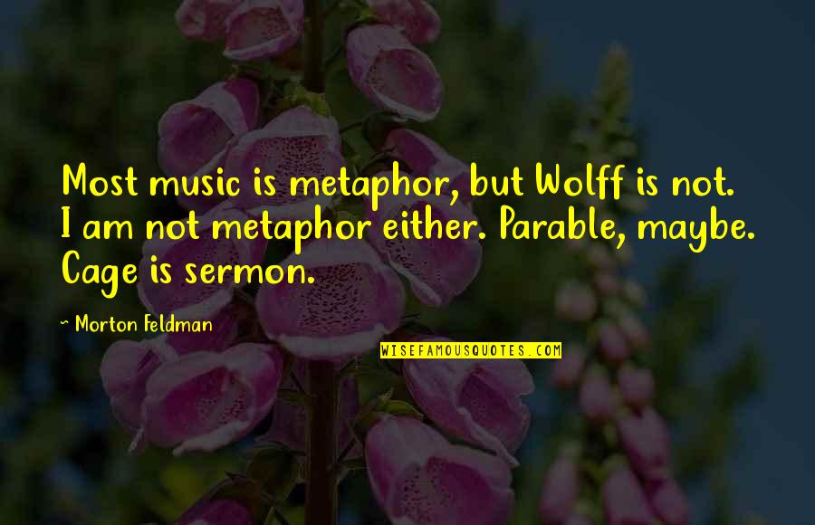 Meeting Lover Quotes By Morton Feldman: Most music is metaphor, but Wolff is not.