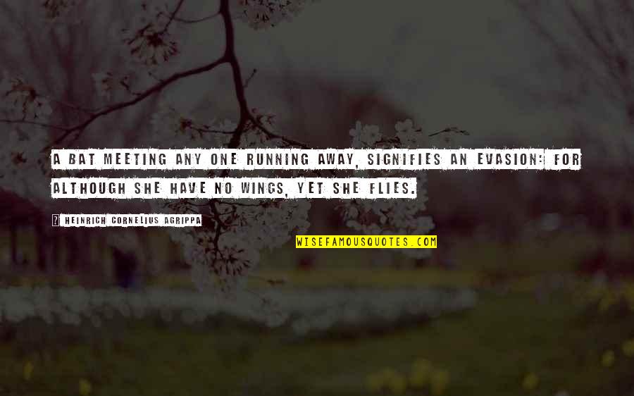 Meeting The One For You Quotes By Heinrich Cornelius Agrippa: A Bat meeting any one running away, signifies Meeting The One For You Quotes By Heinrich Cornelius Agrippa: A Bat meeting any one running away, signifies