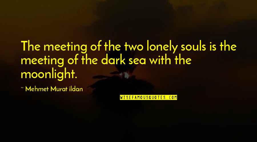 Meeting You Quotes Quotes By Mehmet Murat Ildan: The meeting of the two lonely souls is