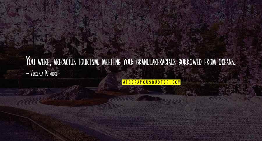 Meeting You Quotes Quotes By Virginia Petrucci: You were, arecactus tourism. meeting you: granularfractals borrowed