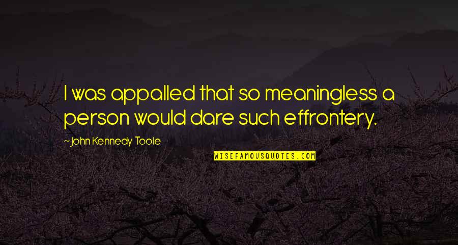 Meeting Your Love For The First Time Quotes By John Kennedy Toole: I was appalled that so meaningless a person