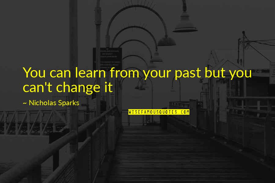 Meeting Your Needs Quotes By Nicholas Sparks: You can learn from your past but you Meeting Your Needs Quotes By Nicholas Sparks: You can learn from your past but you