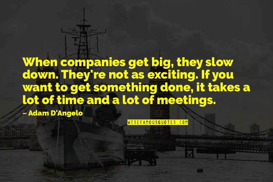 Meetings Time Quotes By Adam D'Angelo: When companies get big, they slow down. They're