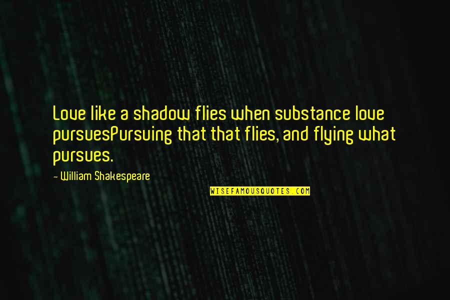 Meg Lehet Quotes By William Shakespeare: Love like a shadow flies when substance love Meg Lehet Quotes By William Shakespeare: Love like a shadow flies when substance love
