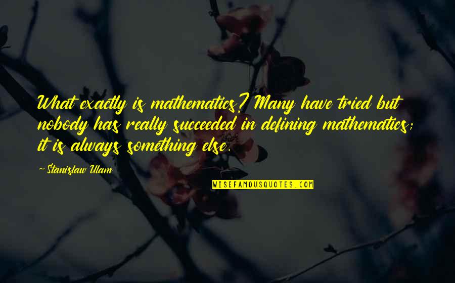 Meg Mccaffrey Quotes By Stanislaw Ulam: What exactly is mathematics? Many have tried but