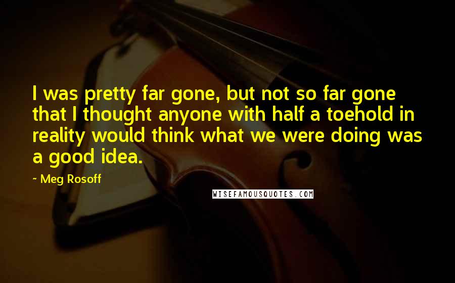 Meg Rosoff quotes: I was pretty far gone, but not so far gone that I thought anyone with half a toehold in reality would think what we were doing was a good idea.