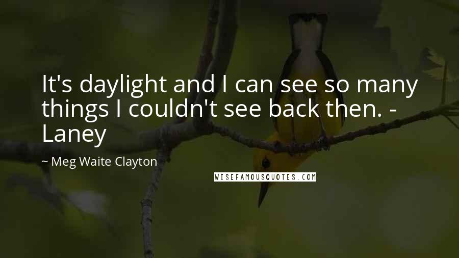 Meg Waite Clayton quotes: It's daylight and I can see so many things I couldn't see back then. - Laney