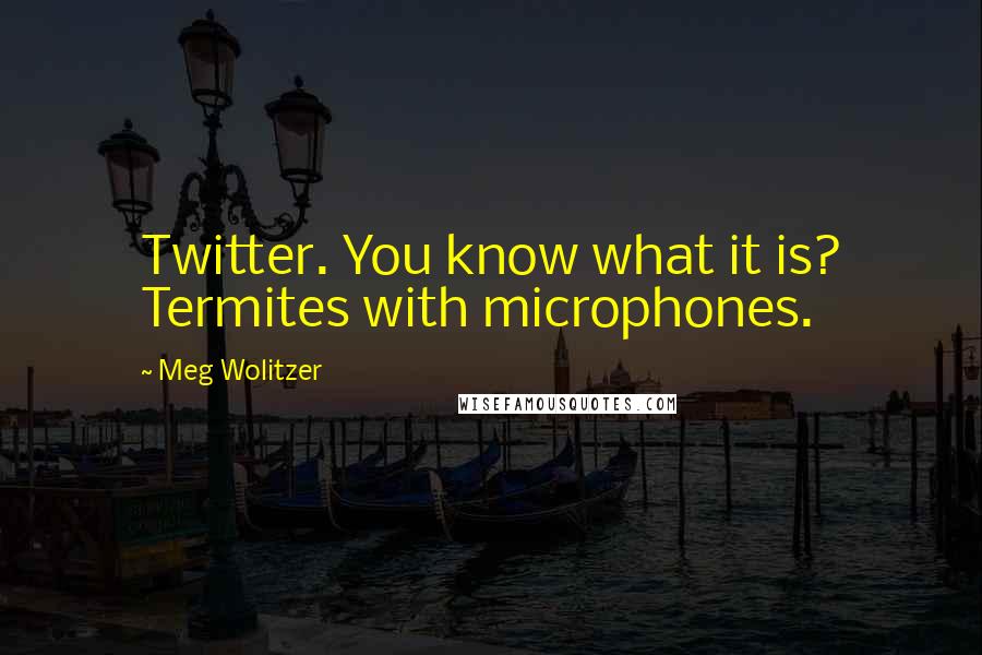 Meg Wolitzer quotes: Twitter. You know what it is? Termites with microphones.