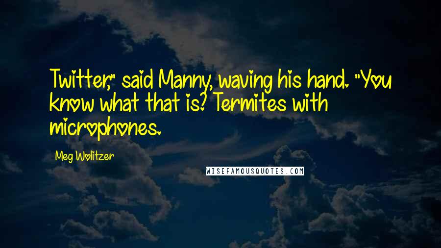 Meg Wolitzer quotes: Twitter," said Manny, waving his hand. "You know what that is? Termites with microphones.