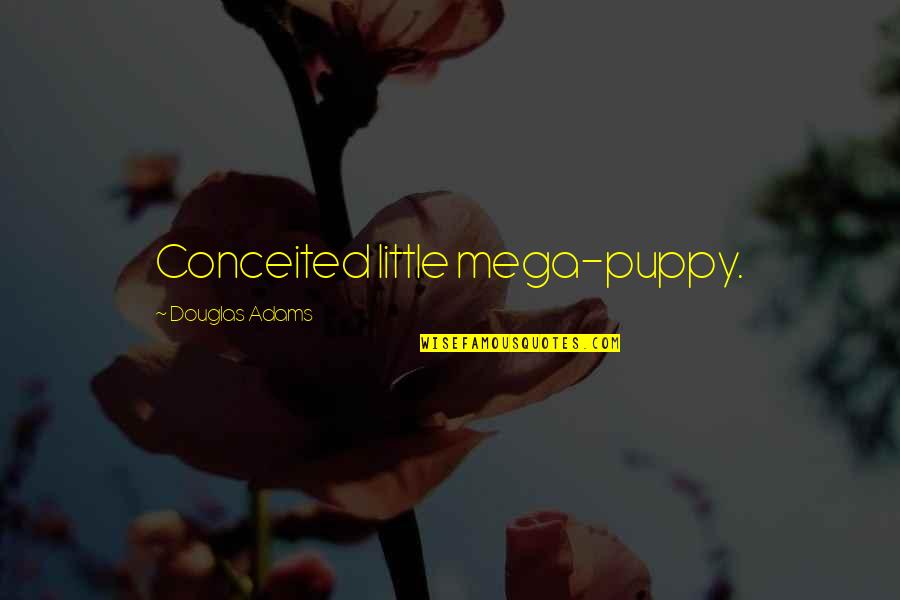 Mega Quotes By Douglas Adams: Conceited little mega-puppy.