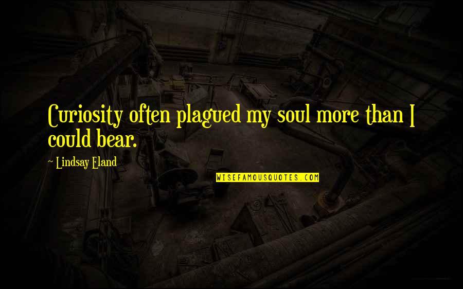 Megalodons Quotes By Lindsay Eland: Curiosity often plagued my soul more than I Megalodons Quotes By Lindsay Eland: Curiosity often plagued my soul more than I
