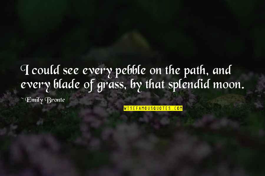 Megalosmasher Quotes By Emily Bronte: I could see every pebble on the path, Megalosmasher Quotes By Emily Bronte: I could see every pebble on the path,