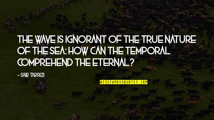 Megamath Quotes By Saib Tabrizi: The wave is ignorant of the true nature