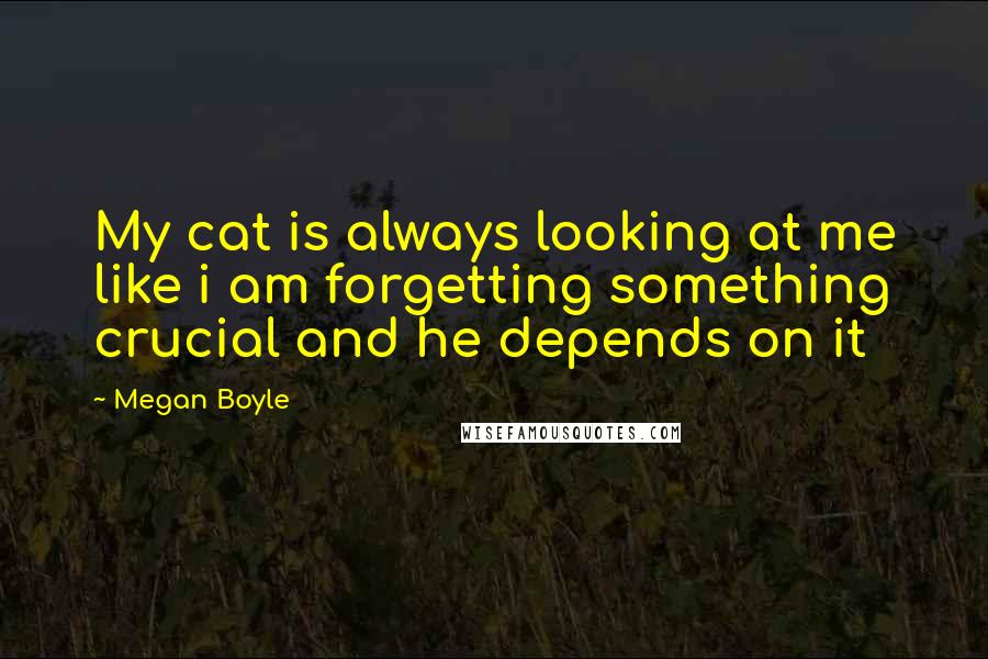 Megan Boyle quotes: My cat is always looking at me like i am forgetting something crucial and he depends on it