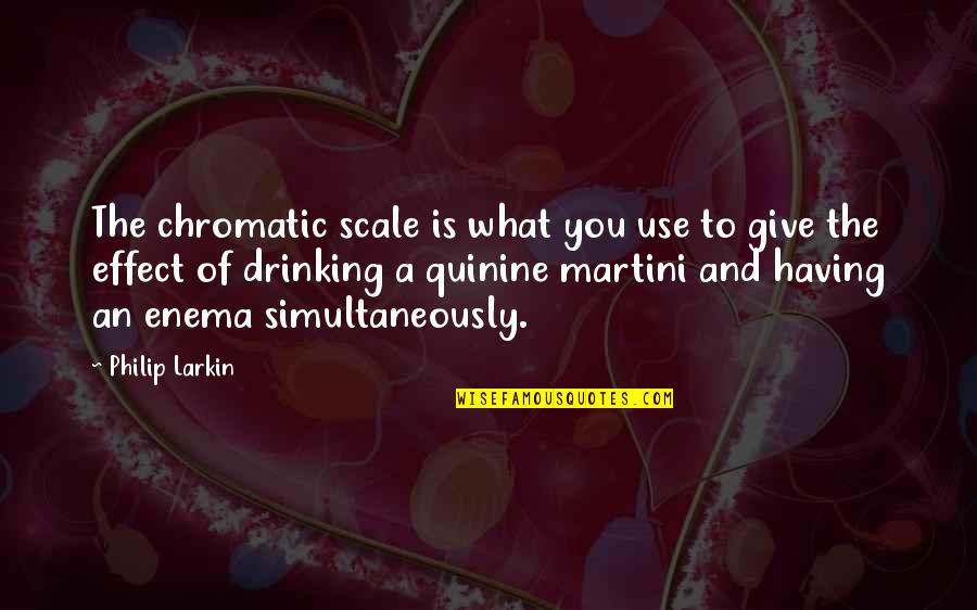 Megatons To Gigatons Quotes By Philip Larkin: The chromatic scale is what you use to