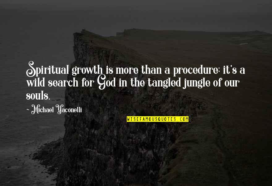 Megatsunamiul Quotes By Michael Yaconelli: Spiritual growth is more than a procedure; it's