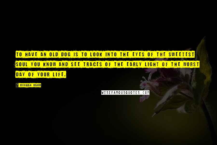 Meghan Daum quotes: To have an old dog is to look into the eyes of the sweetest soul you know and see traces of the early light of the worst day of your