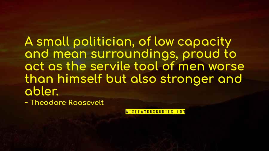 Meghani Medical Quotes By Theodore Roosevelt: A small politician, of low capacity and mean