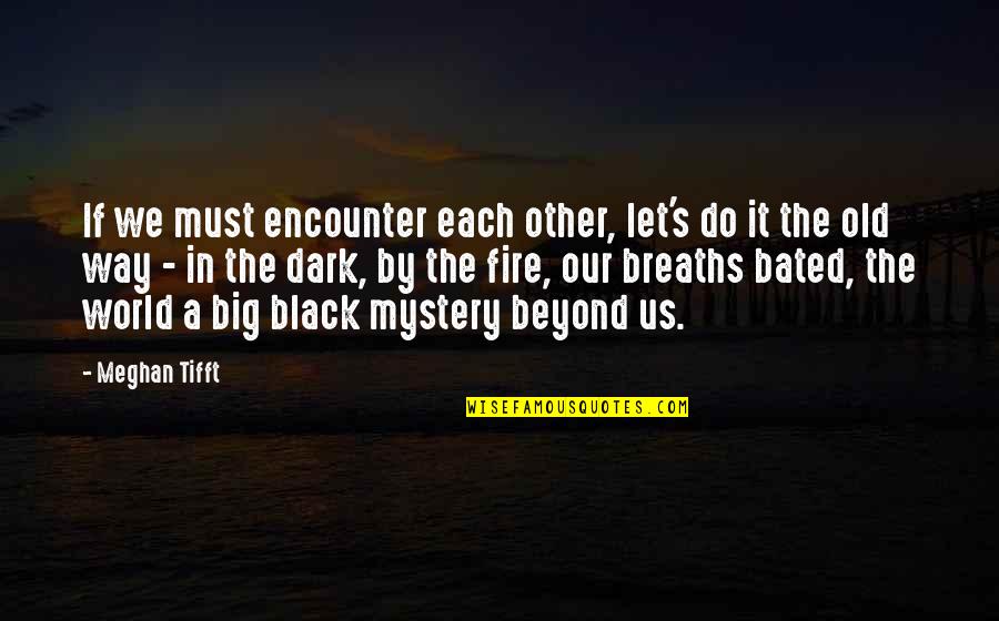 Meghan's Quotes By Meghan Tifft: If we must encounter each other, let's do