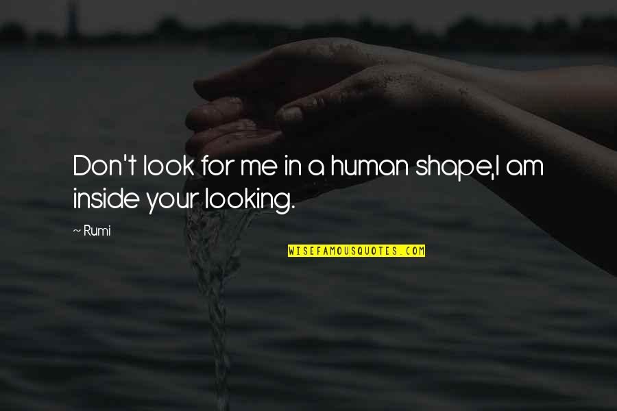 Meguiars Products Quotes By Rumi: Don't look for me in a human shape,I