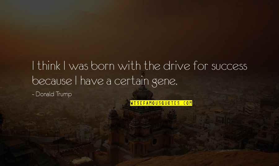 Megyn Price Quotes By Donald Trump: I think I was born with the drive