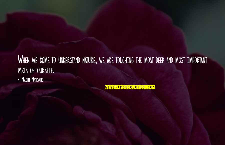 Mehari Cassis Quotes By Nalini Nadkarni: When we come to understand nature, we are