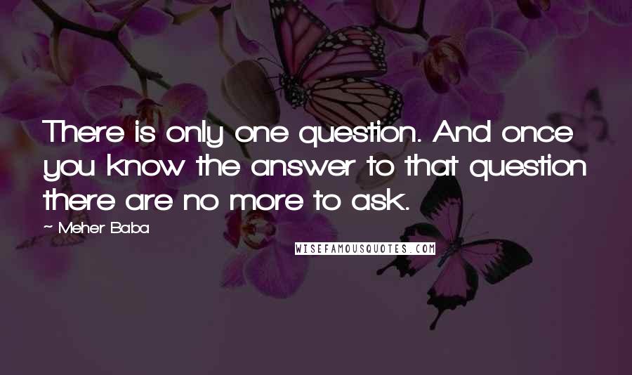Meher Baba quotes: There is only one question. And once you know the answer to that question there are no more to ask.
