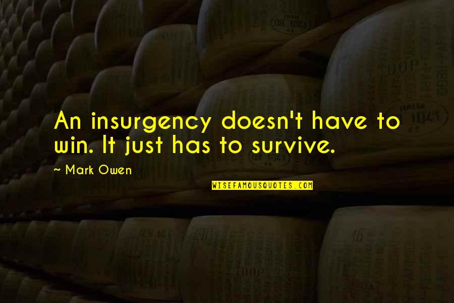 Mehgan James Quotes By Mark Owen: An insurgency doesn't have to win. It just