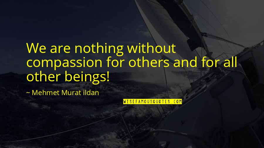 Mehmet Murat Ildan Quotations Quotes By Mehmet Murat Ildan: We are nothing without compassion for others and