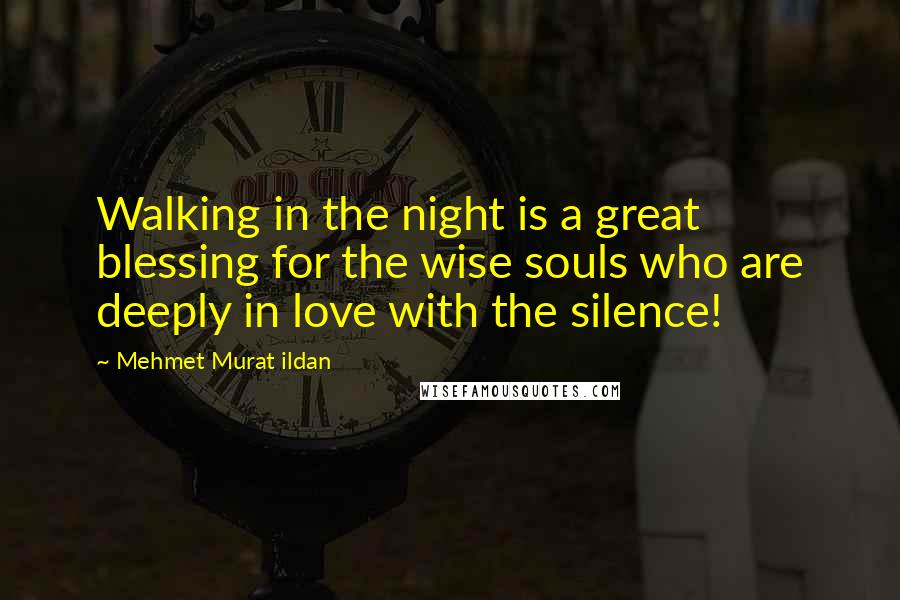 Mehmet Murat Ildan quotes: Walking in the night is a great blessing for the wise souls who are deeply in love with the silence!