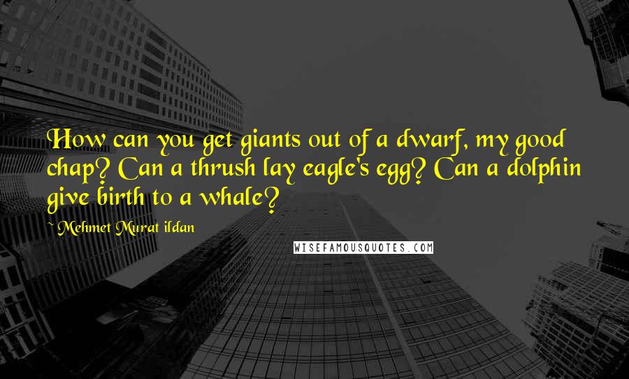 Mehmet Murat Ildan quotes: How can you get giants out of a dwarf, my good chap? Can a thrush lay eagle's egg? Can a dolphin give birth to a whale?
